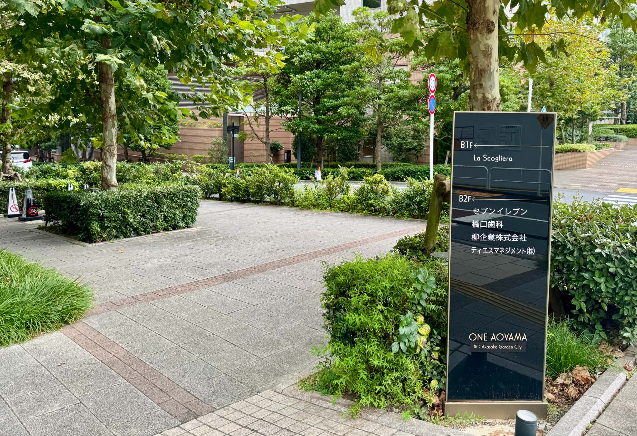 ステップ6の写真