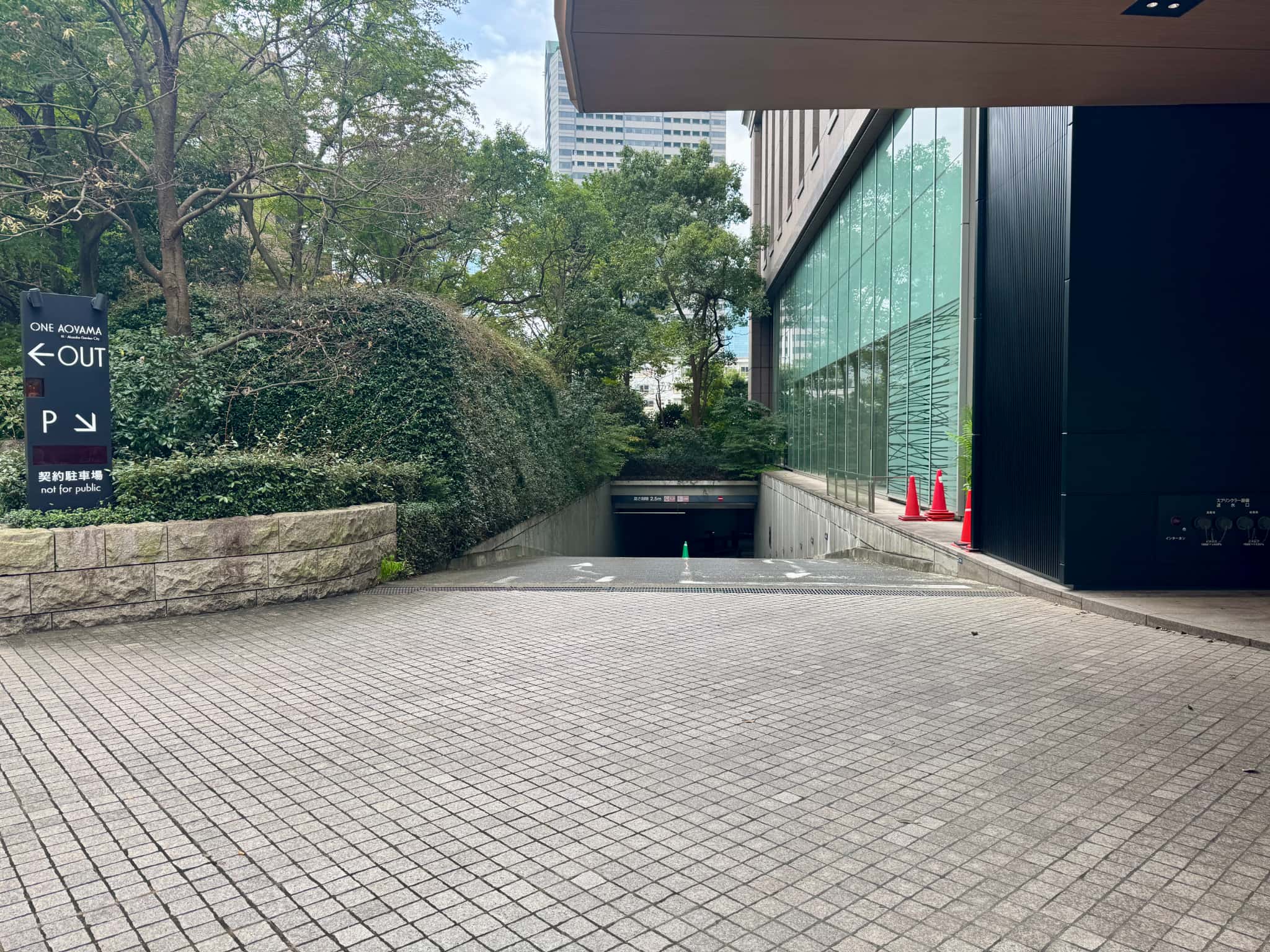 ステップ4の写真