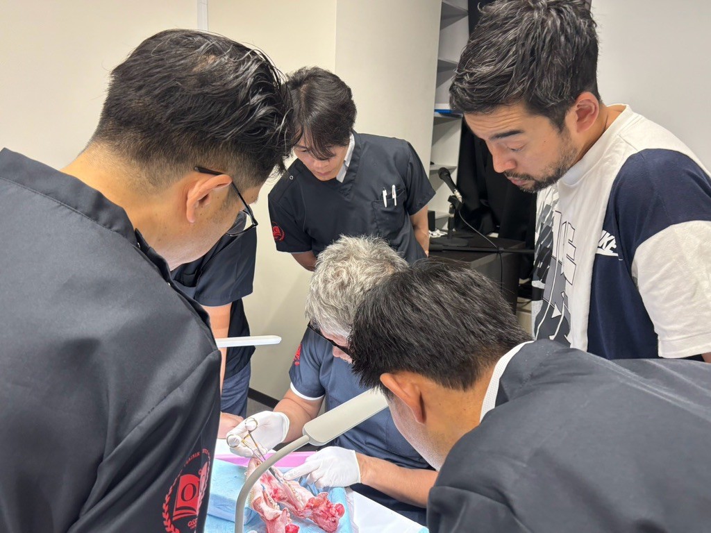 OSSTEM MASTER COURSEで洪性文先生のインプラント外科デモンストレーションを学ぶ講師陣